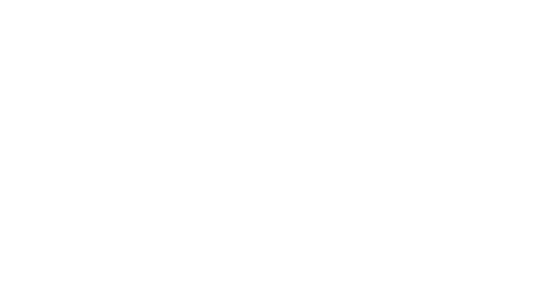 AMN Group - Arquitectura y Desarrollo