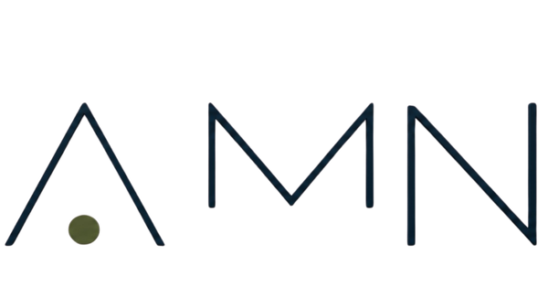 AMN Group - Arquitectura y Desarrollo