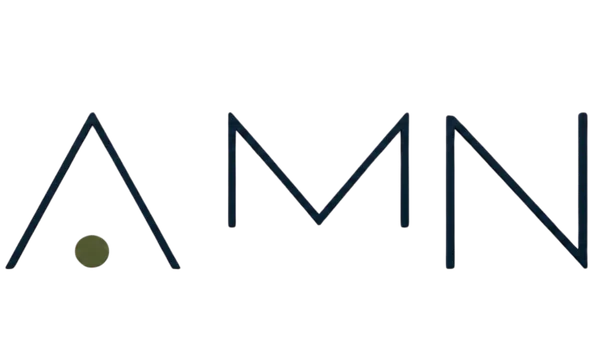 amngroup.biz